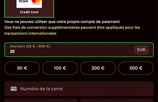 Découvrez les Avantages de l’Expérience de Jeu en Ligne au Roman Casino France